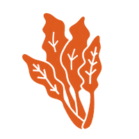 Ackerpause vegetables gemuse acker gemuese Sticker