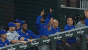 Happy Ny Mets GIF by New York Mets
