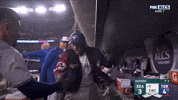 Home Run GIF by MLB