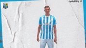 Football Basketball GIF by ChemnitzerFC