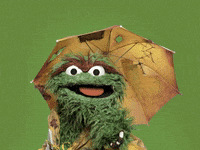 Raining Oscar The Grouch GIF by Sesame Street