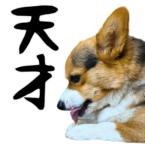 Corgi Wow Sticker