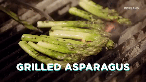 viceland GIF by MOST EXPENSIVEST