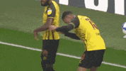 Joao Pedro Soccer GIF by Watford Football Club