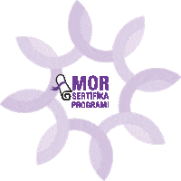 Certificate Program Sticker by Mor Sertifika