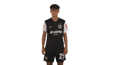 Swipeup Sticker by Eintracht Frankfurt
