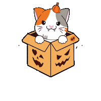 Trick-Or-Treat Cat Sticker by Petique, Inc.