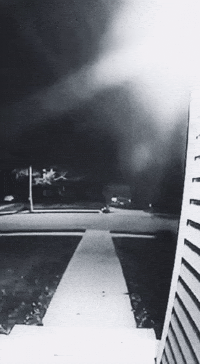 Staring Paranormal Activity GIF