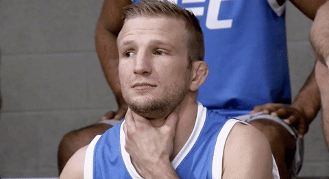 the ultimate fighter tj dillashaw GIF