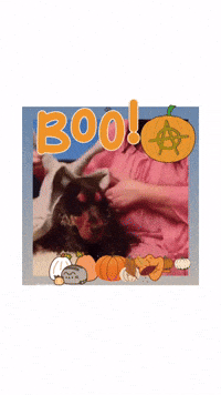 Dress Up Trick Or Treat GIF