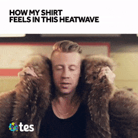 school education GIF by Tes World : Teachers