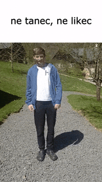 Czech Cesky GIF