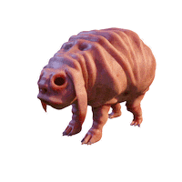 Loop 3D Sticker