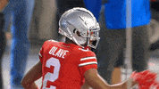 College Football GIF by Ohio State Athletics
