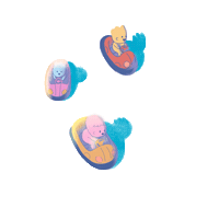 Car 2019Tiaf Sticker by TIAF
