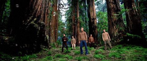 *NSYNC - This I Promise You