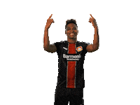 bundesliga swipe up Sticker by Bayer 04 Leverkusen