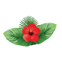 Amapola Sticker by VoyTuristeando