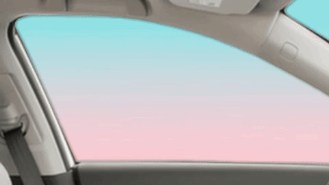 GIF by NorCal Honda Dealers