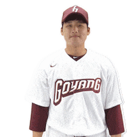 Thumbs Up Good Job Sticker by Kiwoom Heroes Baseball Club