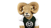 Csurams Gorams Sticker by Colorado State Rams