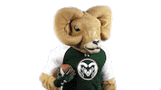 Csurams Gorams Sticker by Colorado State Rams