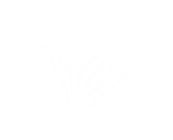Skeleton Shaka Sticker