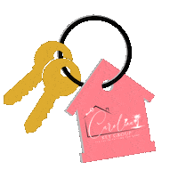 carolinakeygroup carolinakeygroup carolina key group Sticker