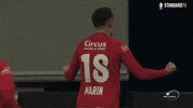 football celebration GIF by Standard de Liège
