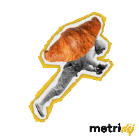 Metridej Sticker by Metricool