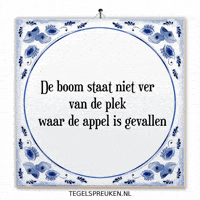 Boom Nl GIF by Tegelspreuken.nl