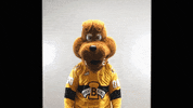 BdnWheatKings kings brandon willie wheat GIF