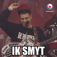 omrop_fryslan pet fries feest friesland GIF