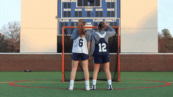 vwu_marlins marlins vwu wethebeach virginiawesleyan GIF