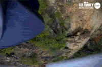 iac GIF by I'm A Celebrity... Get Me Out Of Here! Australia