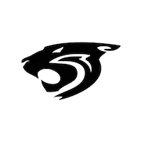 Wildcats Sticker by Unit5Music