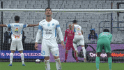 Alvaro Gonzalez Yes GIF by Olympique de Marseille