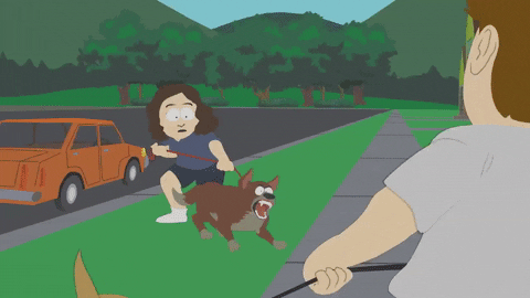 dog fighting GIF by South Park 