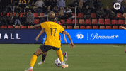 Sport Soccer GIF by Football Australia