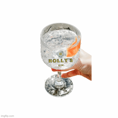 hollysgin giphyupload gt gintonic gin and tonic GIF