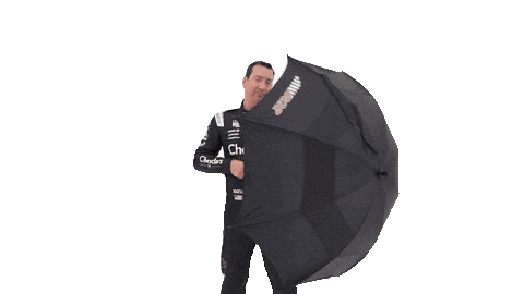 Kyle Busch Sticker by Richard Childress Racing