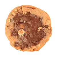 Monstercookies Sticker by Co Chocolat