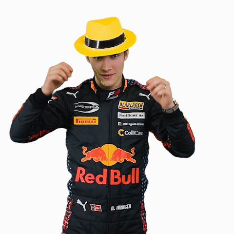 Formula 3 Dennis GIF by Prema Team