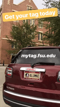 GIF by Florida State University