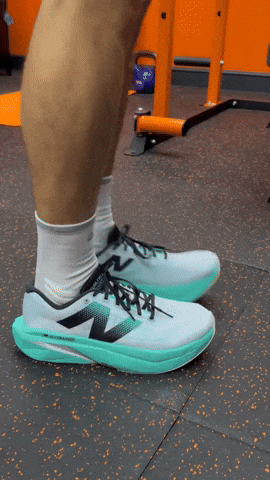 joseherrera56 giphyupload GIF