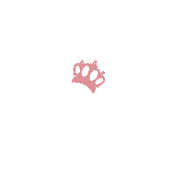 Honeymoon Sticker by Travel Queen LLC