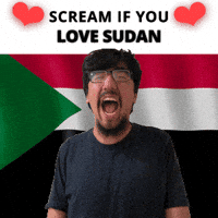 Sudan Flag Sd GIF