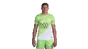 Football Hello Sticker by VfL Wolfsburg
