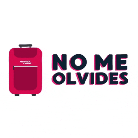 travel no me olvides GIF by ASSISTCARD