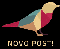 canariomarketing post newpost canario canariomkt GIF